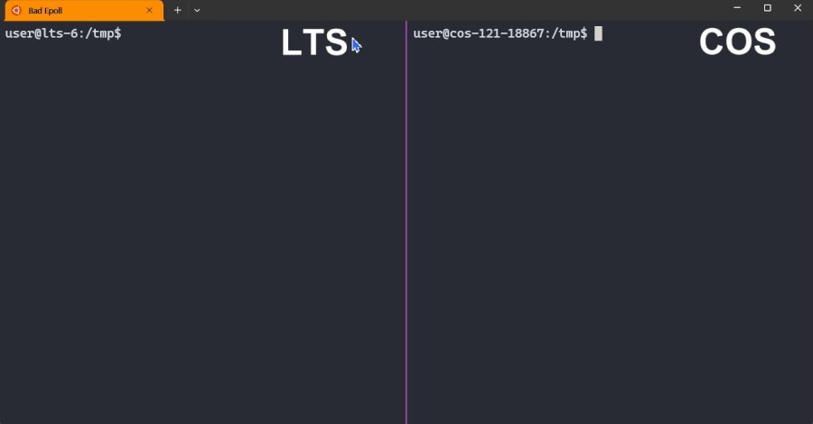 Bad Epoll: Linux root提权漏洞概念图