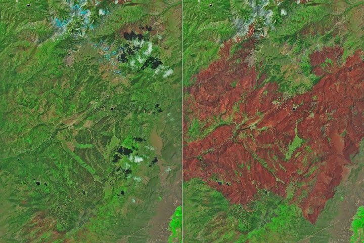NASA 卫星影像：犹他州棉花木大火烧过的森林痕迹